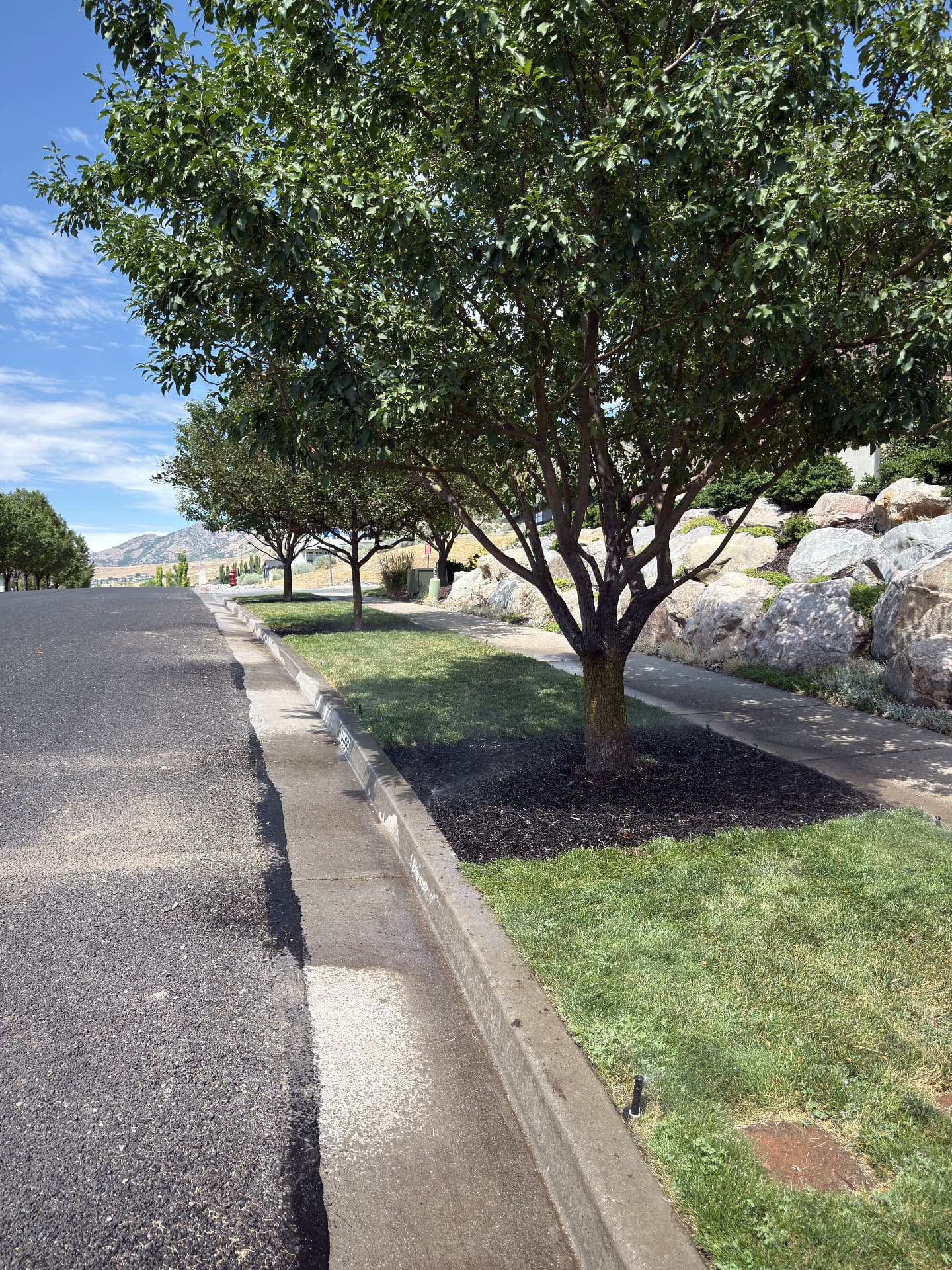 Lawn Care service by Starline Dirtworks
